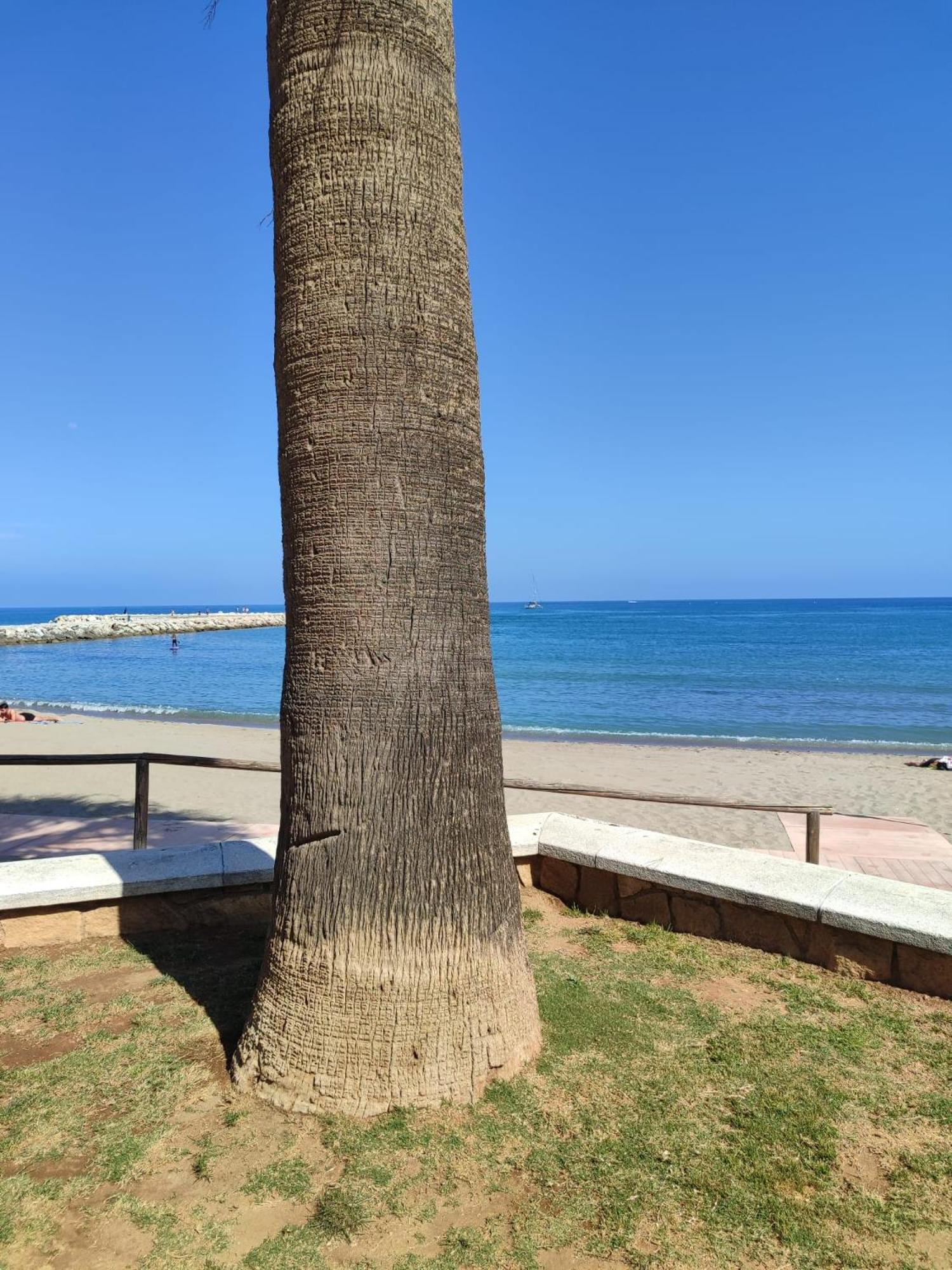 Fuengirola Reyes Beach Екстериор снимка